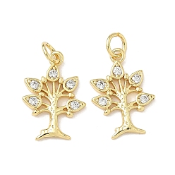 Настоящее золото 18K Подвески из латуни и прозрачного циркония, дерево, без кадмия и без свинца, долговечный, стойки покрытие, с целью перехода в кольце, реальный 18 k позолоченный, 18x12.5x1.5 мм, отверстие : 3 мм