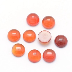 Carnelian Natural Carnelian Cabochons, Dyed & Heated, Half Round, 6x3~3.5mm