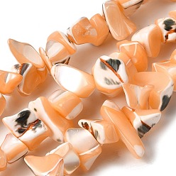 Сэнди Коричневый Натуральная оболочка из трохидных оболочек, окрашенные, самородки, песчаный коричневый, 5~22x7~15x3~8 мм, отверстие : 1.2 мм, около 65~70 шт / нитка, 14.69~15.35'' (37.3~39 см)