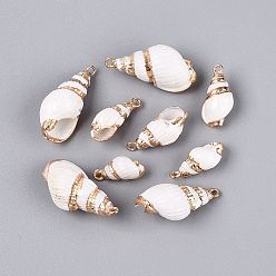 Light Gold Подвески из натуральных морских ракушек, покрытые гальваническим способом, подвески в форме ракушек, с железными петлями и латунной фурнитурой, белые, золотой свет, 15~30x8~15x7~13 мм, отверстие : 1.6~1.8 мм