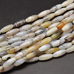 Dendritic Agate Rice Natural Dendritic Agate Bead Strands, 20x8mm, Hole: 1.2mm, about 19pcs/strand, 15.1 inch