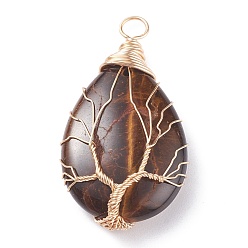 Тигровый глаз Природные тигровые очарования, с латунной фурнитурой , слеза, 46~48.5x25~26x11~12 мм, отверстие : 4~5.5 мм