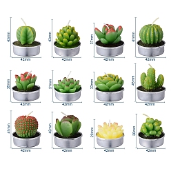 Mixed Color Cactus Paraffin Smokeless Candles, Artificial Succulents Decorative Candles, with Aluminium Containers, for Home Decoration, Green, 15.6x10.3x10.3cm, 12pcs/set