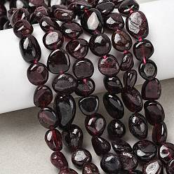 Гранат Гранат природный бисер нитей, самородки, упавший камень, 8~11x6.5~10x5.5~8.5 мм, отверстие : 1 мм, около 22~23 шт / нитка, 7.87'' (20 см)