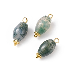 Golden Natural Moss Agate Pendants, with Alloy Beads and Brass Loops, Oval Charm, Golden, 19x8.5x8.5mm, Hole: 2mm