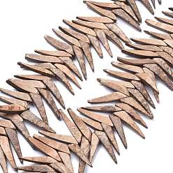 Коричневый Естественно кокосовые шарики нити, Топ пробуренной, треугольные, кофе, 37.5~40.5x7.5~8.5x4.5 мм, отверстие : 1.2 мм, около 80 шт / нитка, 15.35 дюйм (39 см)