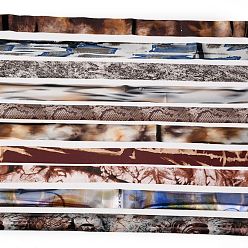 Смешанные Узоры Переводные фольгированные наклейки для ногтей, наклейки для ногтей, украшения для ногтей, смешанные узоры, 2.5 см, 1 м / рулон, 10 рулонов / коробке