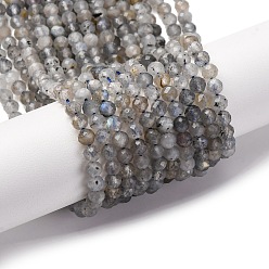 Лабрадорита Природные лабрадорита бисер нитей, граненые, круглые, 4~4.5 мм, отверстие : 0.7 мм, около 88~107 шт / нитка, 14.80~15.59'' (37.6~39.6 см)