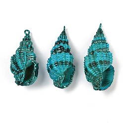 Темно-бирюзовый Покрашенные брызги естественные спиральные подвески раковины, подвески в форме ракушек, темные бирюзовый, 36~40.5x17~19.5x15~16.5 мм, отверстие : 1.6~1.8 мм