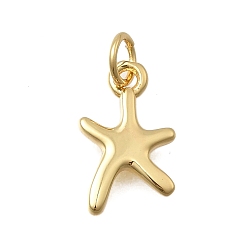 Настоящее золото 18K Латунные подвески, прелести морская звезда, без кадмия и без свинца, стойки покрытие, долговечный, с целью перехода в кольце, реальный 18 k позолоченный, 14x9x2 мм, отверстие : 3.6 мм