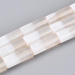 Натуральный Агат Натуральный белый агат бисер нитей, трубка, 19~20x8 мм, отверстие : 1~1.2 мм, около 20 шт / нитка, 15.75~15.94'' (40~40.5 см)