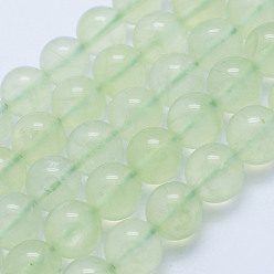 Prehnite Natural Prehnite Beads Strands, Round, Grade A+, 8~8.5mm, Hole: 1mm, about 51pcs/strand, 15.7 inch(40cm)