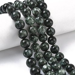 Серафинит Природные SERAPHINITE нитей бисера, круглые, 10.5~11.5 мм, отверстие : 0.8~1 мм, около 37 шт / нитка, 15.43''~15.75'' (39.2~40 см)