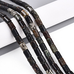 Биотит Природного биотита нитей бисера, колонка, 8~8.5x6 мм, отверстие : 0.7 мм, около 44~45 шт / нитка, 14.84~15.16'' (37.7~38.5 см)