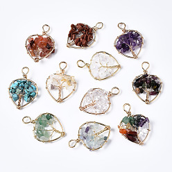 Смешанные камни Природные и синтетические Gemstone подвески, золотистая латунная проволока, дерево, сердце, 37~38.5x26~27x5.5~7.5 мм, отверстие : 4 мм