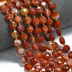 Red Agate Натуральный красный агат бисер нитей, окрашенная и подогревом, граненый шестиугольный разрез, плоско-круглые, с бисером, 10~10.5x6 мм, отверстие : 1.1 мм, около 31~32 шт / нитка, 15.35''~15.55'' (39~39.5 см)