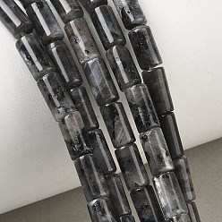 Larvikite Brins de perles de larvikite naturelles, colonne, 8x4mm, Trou: 1mm, Environ 49 pcs/chapelet, 15.35'' (39 cm)