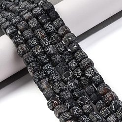 Кокосово-Коричневый Естественные выветрившиеся агатовые бусины, окрашенная и подогревом, кубические, кокосового коричневый, 7.5x7x7 мм, отверстие : 1 мм, около 53 шт / нитка, 14.76'' (37.5 см)