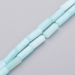 Бледно-бирюзовый Природные оболочки нитей бисера, окрашенные, колонка, бледные бирюзовая, 6x2 мм, отверстие : 0.5 мм, около 67 шт / нитка, 15.2 дюйм