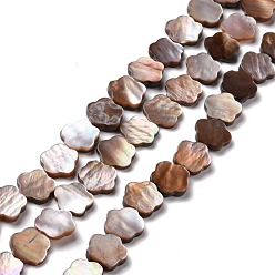 Autres Coquillages De Mer Naturelles coquillage perles brins, fleur, 10.5x10.5x2~2.5mm, Trou: 0.6mm, Environ 39 pcs/chapelet, 16.30 pouce (41.4 cm)