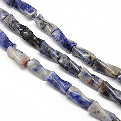 Blue Spot Jasper Natural Blue Spot Jasper Twist Column Beads Strands, 21x10x10mm, Hole: 1mm, about 20pcs/strand, 15.74 inch