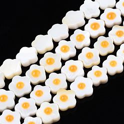 Orange Eau douce naturelle de coquillage perles brins, simple face avec émail, fleur, orange, 8.5~9x8.5~9x3~3.5mm, Trou: 0.7mm, Environ 47~50 pcs/chapelet, 15.35 pouces ~ 16.14 pouces (39~41 cm)