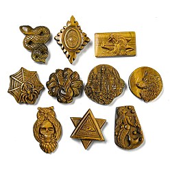 Тигровый глаз Хэллоуин натуральный тигровый глаз резные кабошоны, класс А, змея, паук и лиса, разнообразные, 33~55x29~40x12 мм