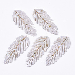 Белый Дым Ацетат целлюлозы (смола) большие подвески, с железными петлями, лист, золотые, серый, 70~76x29~31x3 мм, отверстие : 1.2 мм