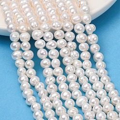 Old Lace Natural Cultured Freshwater Pearl Beads Strands, Potato, Grade 2A++, Old Lace, 7~8mm, Hole: 0.5mm, about 50~59pcs/strand, 13.58''(34.5cm)