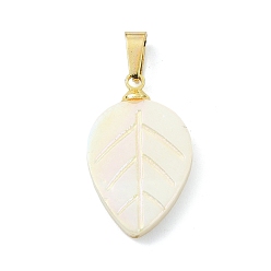 Золотой Резные подвески из натуральных пресноводных ракушек, Подвески в виде листьев с 304 защелкивающимися креплениями из нержавеющей стали, цвет морской раковины, золотые, 21.5x13.5x3.5 мм, отверстие : 5.5x3 мм