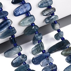 Кианит Натуральные нити из кианита / цианита / дистенового бисера, самородки, Топ пробуренной, упавший камень, с бисером, 9.5~25x4~11.5x3.5~8 мм, отверстие : 0.8~1 мм, около 42~61 шт / нитка, 14.96~16.14'' (38~41 см)
