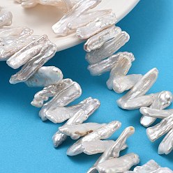 Морская Ракушка Натуральный жемчуг в стиле барокко кеши, культивированный пресноводный жемчуг, наггетсы овальные, класс 4а+, цвет морской раковины, 17~32x7~8x4~5 мм, отверстие : 0.6 мм, около 57~59 шт / нитка, 14.96'' (38 см)