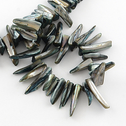 Black Erose Natural Shell Beads Strands, Dyed, Black, 20~40x4~8x4~7mm, Hole: 1mm, about 70pcs/strand