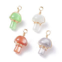 Light Gold Cat Eye Pendants, with Copper Wire, Mushroom Charms, Mixed Color, Light Gold, 30x14~17mm, Hole: 4mm