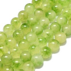 Желто-Зеленый Натуральный Malaysia нефритовые бусы пряди, окрашенная и подогревом, круглые, желто-зеленый, 10 мм, отверстие : 1.2 мм, около 39 шт / нитка, 14.96 дюйм (38 см)