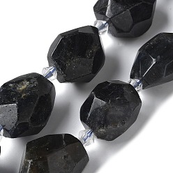 Айолит Природные иолит нитей бисера, граненые, самородки, 16.5~27.5x9.5~21.5x9.5~21.5 мм, отверстие : 2 мм, около 12~15 шт / нитка, 15.16~15.75'' (38.5~40 см)