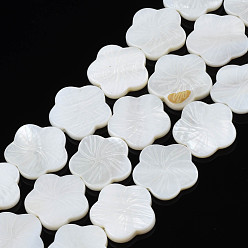 Coquillage De Mer Eau douce naturelle de coquillage perles brins, fleur, couleur de coquillage, 19x19x2~3.5mm, Trou: 0.9mm, Environ 20 pcs/chapelet, 14.69 pouces~14.96 pouces (37.3cm~38cm)