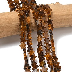 Тигровый глаз Природных тигровый глаз бисер нитей, звезда, 6x6x2 мм, отверстие : 0.7 мм, около 72 шт / нитка, 14.96'' (38 см)