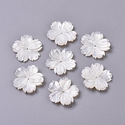 White Shell Natural White Shell Beads, Mother of Pearl Shell Beads, Sakura, 25x3mm, Hole: 1.2mm