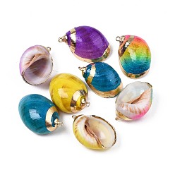 (52) Непрозрачная лаванда Окрашенные распылением и гальванические спиральные подвески, с железной фурнитурой, золотой свет, разноцветные, 27~42x18~27x11~18 мм, отверстие : 1.5 мм