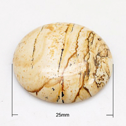 Пейзажный Джаспер Картина яшмы кабошон, полукруглые / купольные, 25x5~7 мм
