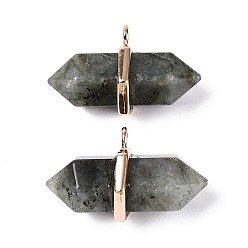 Лабрадорита Двойные заостренные подвески из натурального лабрадорита, граненые подвески в форме пули с фурнитурой из сплава, золотые, 20~21x34.5~36x17~18 мм, отверстие : 3 мм