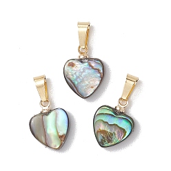 Разноцветный Природные пауа оболочки подвески, подвески-сердечки с 304 защелками из нержавеющей стали, золотые, красочный, 14x10.5x3.5 мм, отверстие : 5.5x3 мм