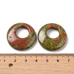 Unakite Natural Unakite Pendants, Donut/Pi Disc Charms, 27.5~28x4.5~5.5mm