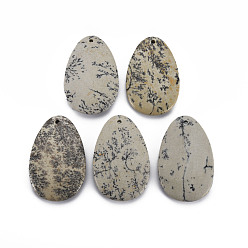 Древесный агат Большие подвески из натурального агата, слеза, 55x35x8 мм, отверстие : 2 мм