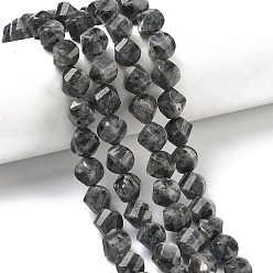 Larvikite Натуральные нити бус из ларвикита, граненые, твист, 10~10.5x9.5~10.5x9.5~10.5 мм, отверстие : 1 мм, около 38~40 шт / нитка, 14.96~15.35'' (38~39 см)