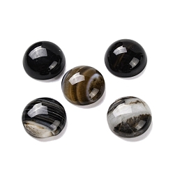 Полосатый Агат Натуральный полосатый агат (окрашенный и нагретый) кабошоны, плоско-круглые, кокосового коричневый, 15~16x6~7 мм