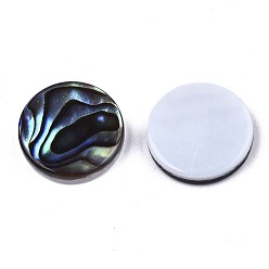 Colorful Natural Abalone Shell/Paua Shell Cabochons, with Freshwater Shell, Flat Round, Colorful, 12x3mm