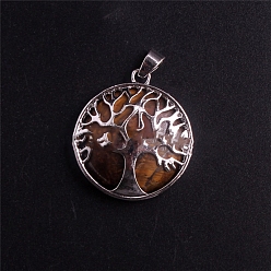 Tiger Eye Natural Tiger Eye Pendants, with Metal Finding, Tree of Life, 27x27x7mm