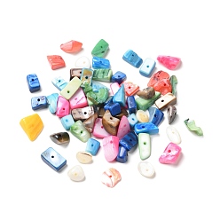 Mixed Color Natural Freshwater Shell Beads, Dyed, Nuggets Chips, Mixed Color, 9.5~18x7~11x2.5~6.5mm, Hole: 0.9mm, about 450pcs/500g